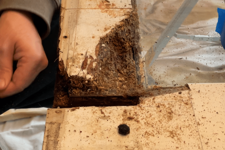 Dry Rot Repair Service Near Me in Portland OR 6