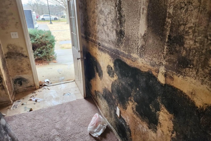 Mold Remediation and Restoration Service Near Me in Portland OR 11